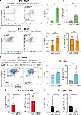 CD18 controls the development and activation of monocyte-to-macrophage axis during chronic schistosomiasis